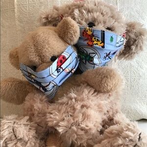 Going “Buggy” Adult/Child Face Mask Set